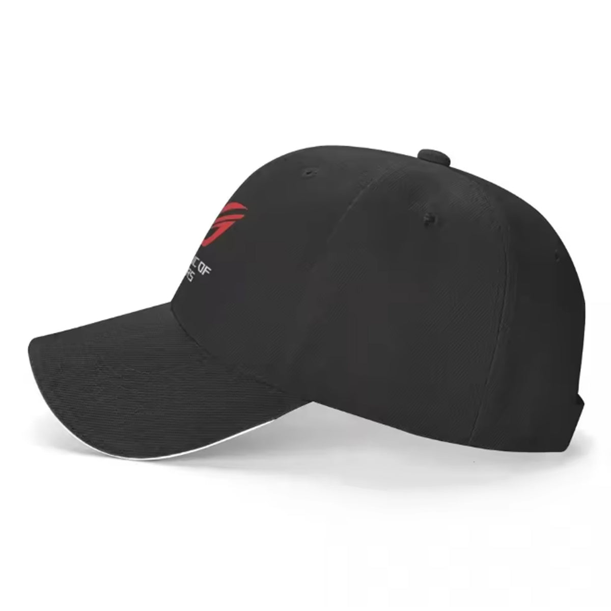 ASUS ROG Republic of Gamers Fluffy Baseball Cap Black – Esports Lifestyle Plush Snapback & Collector Headwear - قبعة أسوس روج