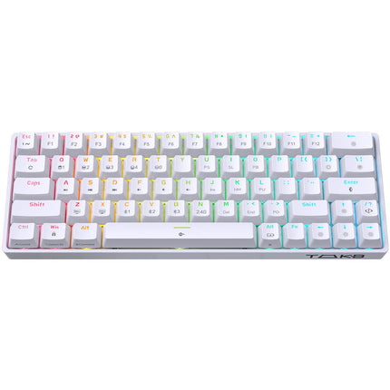 DIERYA TMKB T63 60% Wireless Mechanical Keyboard RGB Backlit Compact 63 Keys with Red Switch for Windows Laptop PC Gamer Typist - white - كيبورد احترافي ابيض