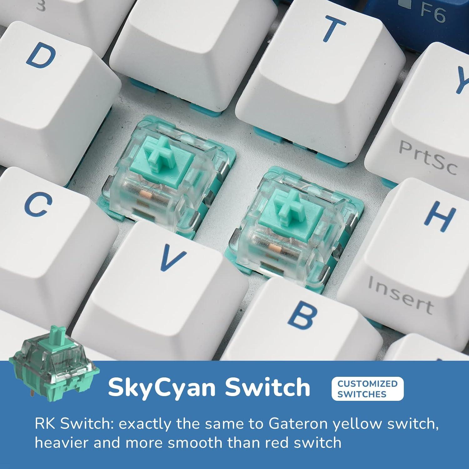 RK ROYAL KLUDGE RK61 Plus Wireless Mechanical Keyboard, 60% Percent Ga ...