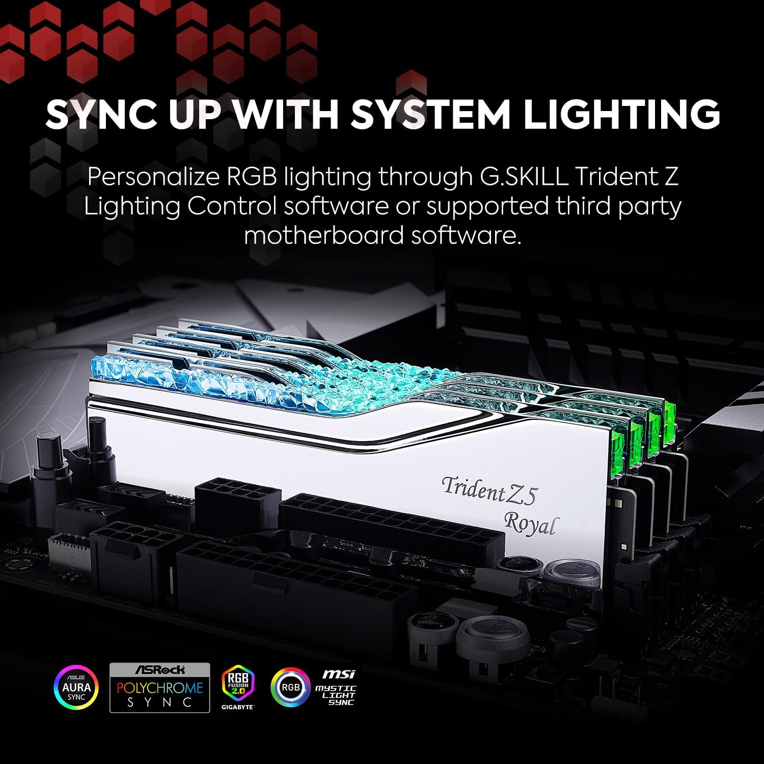 G.SKILL Trident Z5 Royal Series DDR5 RAM (Intel XMP 3.0) 48GB (2x24GB) 8000MT/s CL40-48-48-128 1.35V Desktop Computer Memory U-DIMM - Silver - رامات