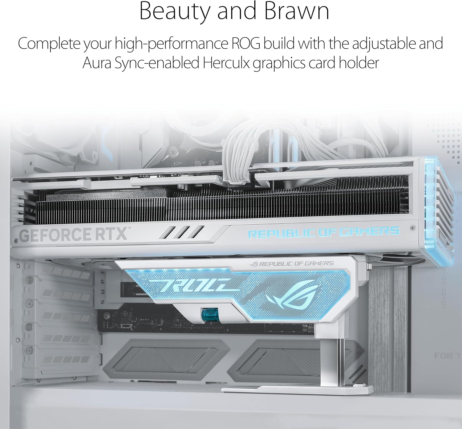 ASUS XH01 ROG Herculx Graphics Card Holder  White Edition - حامل كرت الشاشة