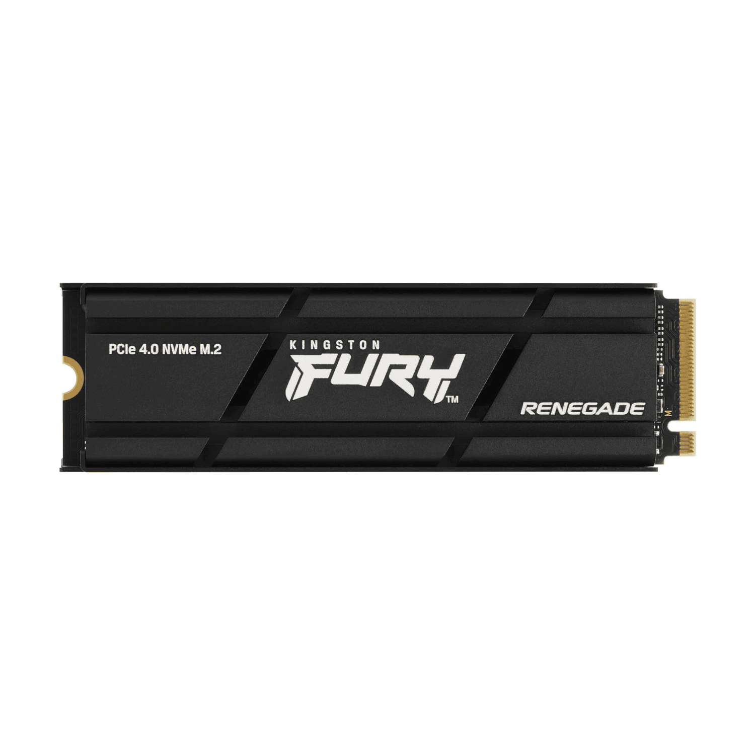 Kingston Fury Renegade 4TB PCIe Gen NVMe Internal Gaming